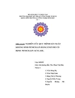 Tiểu luận Nghiên cứu quy trình sản xuất kháng sinh Penicillin bằng Enzyme cố định Penicillin Acylase