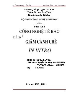 Đề tài Giâm cành chè In Vitro