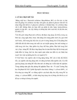 Khóa luận Nghiên cứu ảnh hưởng của tỷ lệ S/V tới khả năng tạo màng BC từ vi khuẩn Acetobacter Xylinum BHN2