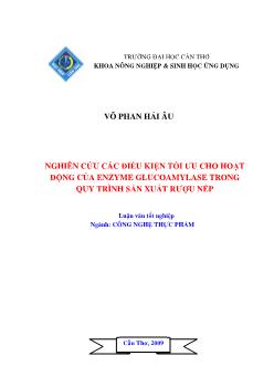 Luận văn Nghiên cứu các điều kiện tối ưu cho hoạt động của Enzyme Glucoamylase trong quy trình sản xuất rượu nếp