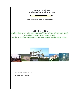 Tiểu luận Phân tích các vấn đề môi trường vùng bờ thành phố Đà Nẵng và đề xuất biện pháp quản lý tổng hợp theo hướng phát triển bền vững