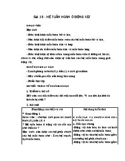 Giáo án Sinh 11 - Hệ tuần hoàn ở động vật