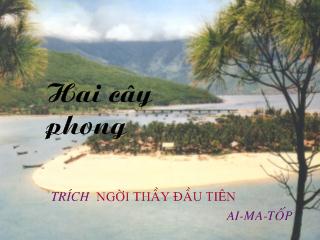 Hai cây phong - AI MA TỐP