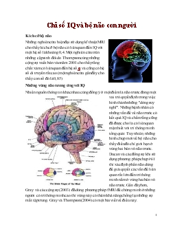 Chỉ số IQ và bộ não con người