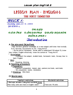 Lesson plan English 6