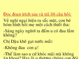 Bài giảng Ngữ văn 8 - Câu nghi vấn