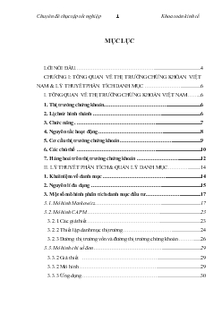 Chuyên đề Áp dụng các công cụ thanh toán tài chính trong phân tích danh mục đầu tư và áp dụng trong thị trường chứng khoán Việt Nam