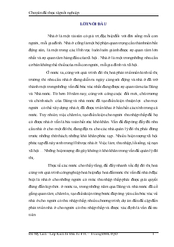 Chuyên đề Thực trạng và một số giải pháp nâng cao hiệu quả đầu tư vào nhà ở cho người có thu nhập thấp