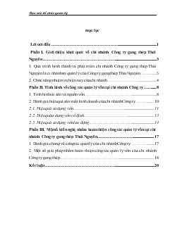 Báo cáo Về công tác quản lý vốn tại chi nhánh công ty gang thép Thái Nguyên