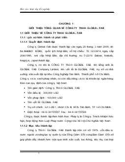 Báo cáo Thực tập tại công ty TNHH Global FAB