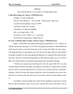 Báo cáo Thực tập tại công ty TNHH Khai Sơn