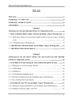 Đề tài Một số nhận xét và kiến nghị nhằm nâng cao tổ chức công tác kế toán tại chi nhánh công ty Mekong Auto