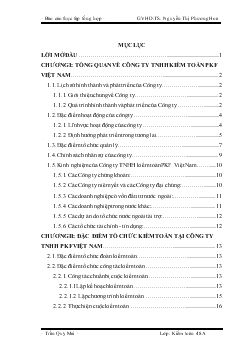 Báo cáo Đặc điểm tổ chức kiểm toán tại Công ty TNHH Kiểm toán PKF Việt Nam - Nhận xét và kiến nghị