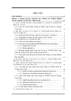 Chuyên đề Hoàn thiện quy trình đánh giá rủi ro kiểm toán trong Kiểm toán Báo cáo tài chính do Công ty TNHH Ernst & Young Việt Nam thực hiện