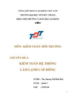 Chuyên đề Kiểm toán hệ thống làm lạnh cấp đông