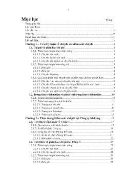 Đề tài Xây dựng hệ thống kiểm soát chi phí trong điều kiện áp dụng hình thức khoán chi phí từng bộ phận trong công ty Mekong