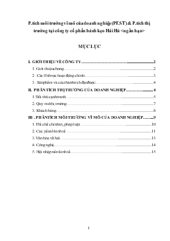 Đề tài Phân tích môi trường vĩ mô của doanh nghiệp (PEST) & Phân tích thị trường tại công ty cổ phần bánh kẹo Hải Hà