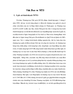 Đề tài Quá trình ra nhập WTO của Việt Nam