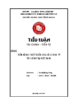 Tiểu luận Tiềm năng phát triển của các công ty tài chính tại Việt Nam
