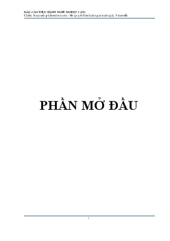 Báo cáo Chiến lược sản phẩm sữa nước – Bí quyết thành công của công ty Vinamilk