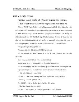 Chuyên đề Giải pháp mở rộng hệ thống kênh phân phối đối với sản phẩm tiêu chuẩn vàng tại thị trường Thành phố Hồ Chí Minh