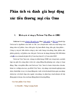 Đề tài Phân tích và đánh giá hoạt động xúc tiến thương mại của Omo