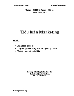 Tiểu luận Thực trạng hoạt động Marketing ở Việt Nam