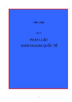 Tiểu luận Pháp luật kinh doanh quốc tế