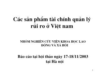 Đề tài Các sản phẩm tài chính quản lý rủi ro ở Việt nam