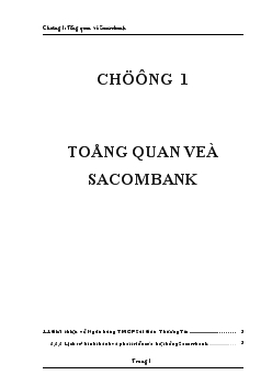 Chuyên đề Phân tích tình hình hoạt động tín dụng tại Sacombank – chi nhánh Hưng Đạo – phòng giao dịch Nguyễn Tri Phương