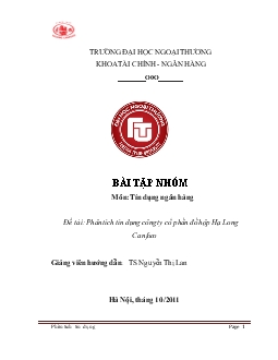 Đề tài Phân tích tín dụng công ty cổ phần đồ hộp Hạ Long Canfoco