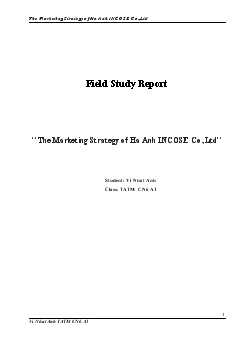 Đề tài The Marketing Strategy of Ha Anh INCOSE Co.,Ltd