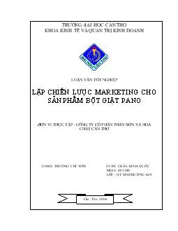 Luận văn Lập chiến lược Marketing cho sản phẩm bột giặt Pano