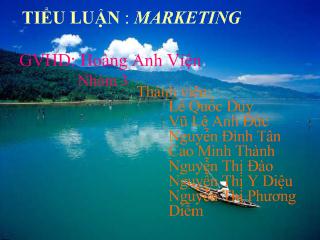 Tiểu luận Chiến lược Marketing Tour dịch vụ 