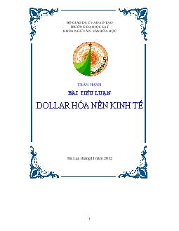 Tiểu luận Dollar hóa nền kinh tế