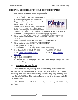 Tiểu luận Phân tích kết quả hoạt động kinh doanh của công ty thép Pomina