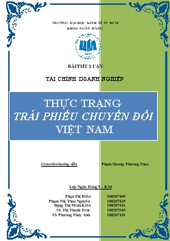 Tiểu luận Thực trạng trái phiếu chuyển đổi Việt Nam
