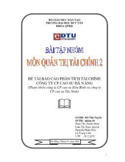 Báo cáo Phân tích tài chính Công ty cổ phần cao su Đà Nẵng