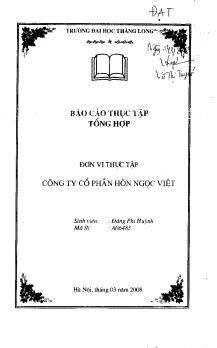 Báo cáo Thực tập tại Công ty cố phần Hòn Ngọc Việt