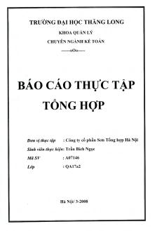 Báo cáo Thực tập tại công ty cổ phần Sơn Tổng hợp Hà Nội