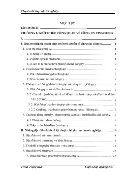 Chuyên đề Nâng cao hiệu quả sử dụng vốn tại công ty cổ phần xây dựng số 3 ( Vinaconex 3 )