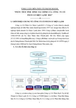 Đề tài Phân tích tình hình tài chính của công ty cổ phần cơ điện lạnh REE