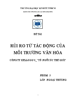 Tiểu luận Rủi ro từ tác động của môi trường văn hóa công ty Kellogg’s - Tô ngũ cốc thế giới