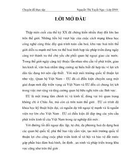 Chuyên đề Phân tích hợp tác thương mại Việt Nam – Liên minh Châu Âu