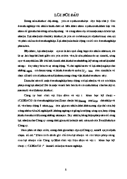 Luận văn Phân tích đánh giá chỉ tiêu lợi nhuận và các biện pháp nâng cao lợi nhuận của Công ty Hoá chất vật liệu điện và vật tư khoa học kỹ thuật ( CEMACO )