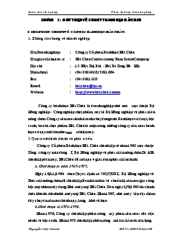 Luận văn Phát triển thị trường bánh mềm Hải Châu - Thực trạng và giải pháp