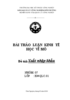 Tiểu luận Thực trạng tình hình xuất nhập khẩu của Việt Nam năm 2009, những giải pháp mà Chính phủ đã thực hiện để cải thiện tình hình xuất nhập khẩu