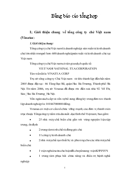 Báo cáo Tổng hợp tại tổng công ty chè Việt Nam (Vinatea)