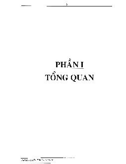 Luận văn Khảo sát và đánh giá sơ bộ hàm lượng các đồng vị phóng xạ K-40, U-238, Th-232, Cs-137 và hàm lượng chì trong không khí tại 2 quận (quận Tân Phú, quận 1) thành phố Hồ Chí Minh