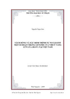 Luận văn Tách dòng và xác định trình tự nucleotit một số đoạn trong genome của virut vàng lùn lúa (RGSV) tại Việt Nam